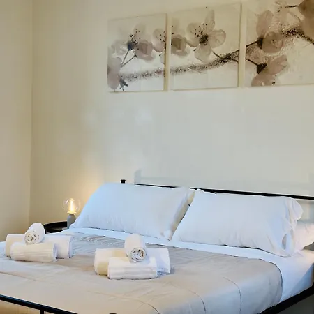 Domus 1